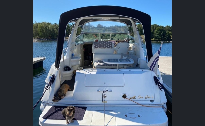 Sea Ray 310 Sundancer-kuva-16